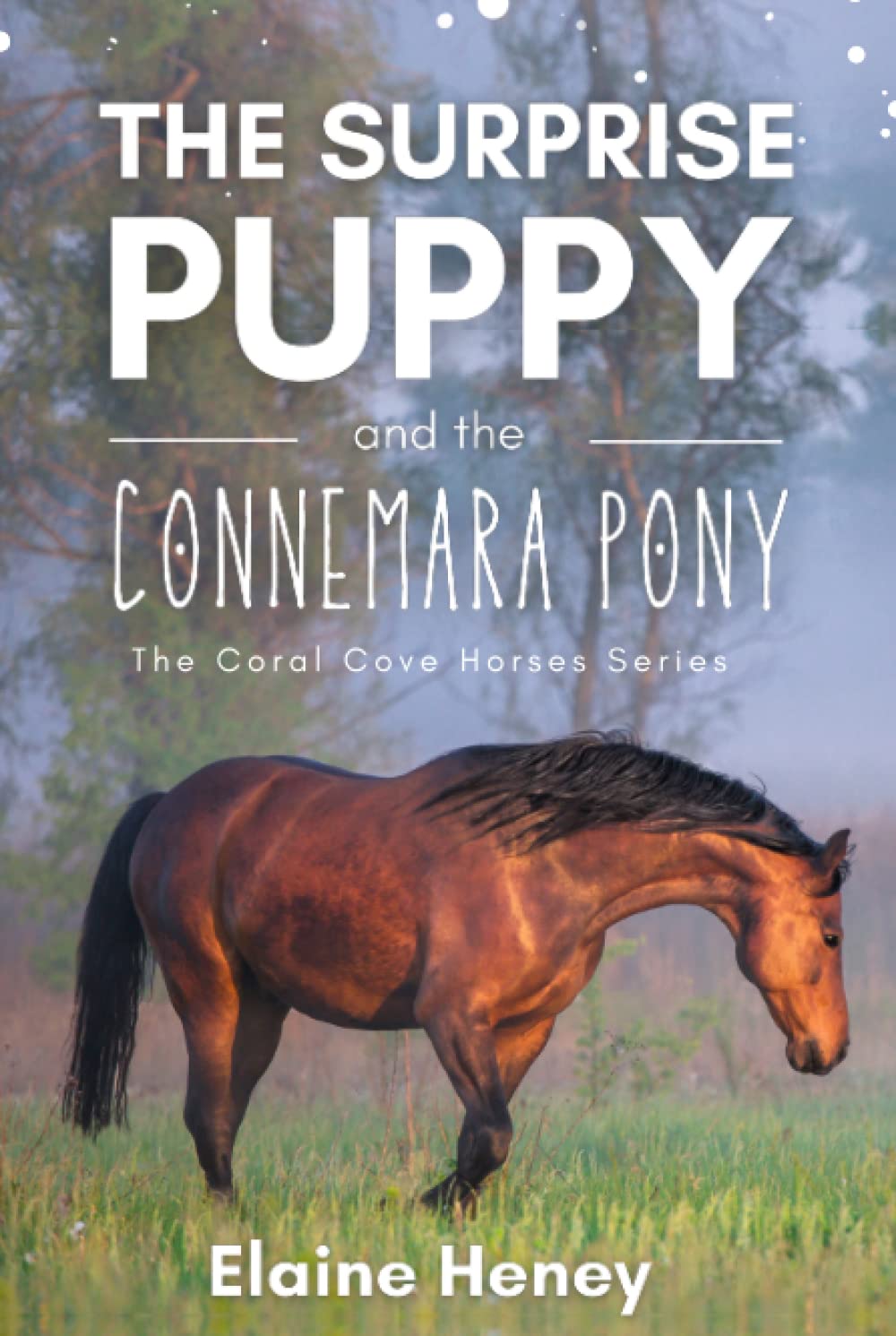 The Surprise Puppy and the Connemara Pony - The Coral Cove Horses Series (Coral Cove Horse Adventures for Girls and Boys)