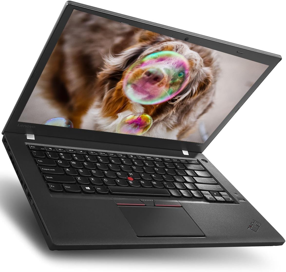 Lenovo ThinkPad T460 Ordinateur portable professionnel 14" Intel Core i5-6300U 8 Go RAM SSD 256 Go Clavier QWERTY américain Windows 11 Pro reconditionné