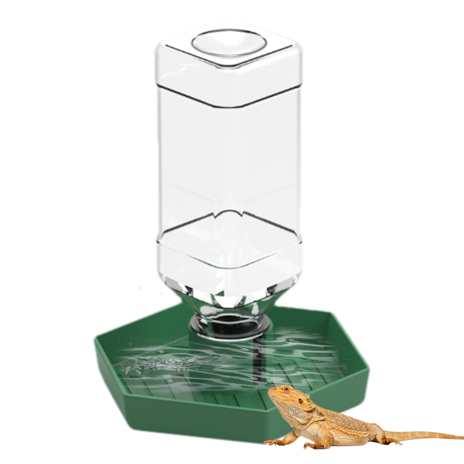Dispensador de agua para reptiles, accesorios de alimentación de lagartos, cuenco de agua desmontable para tortugas, dragones barbudos y lagartijas