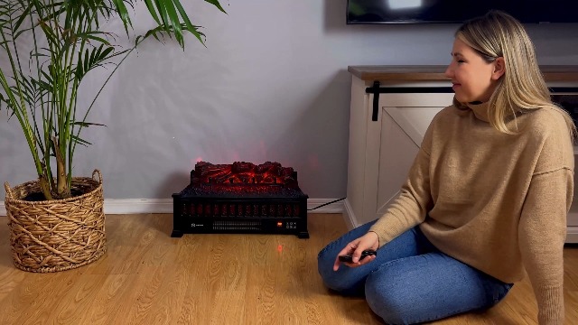 Amazon.com: Riseon Electric Fireplace Logs Inserts Heater 26-Inch