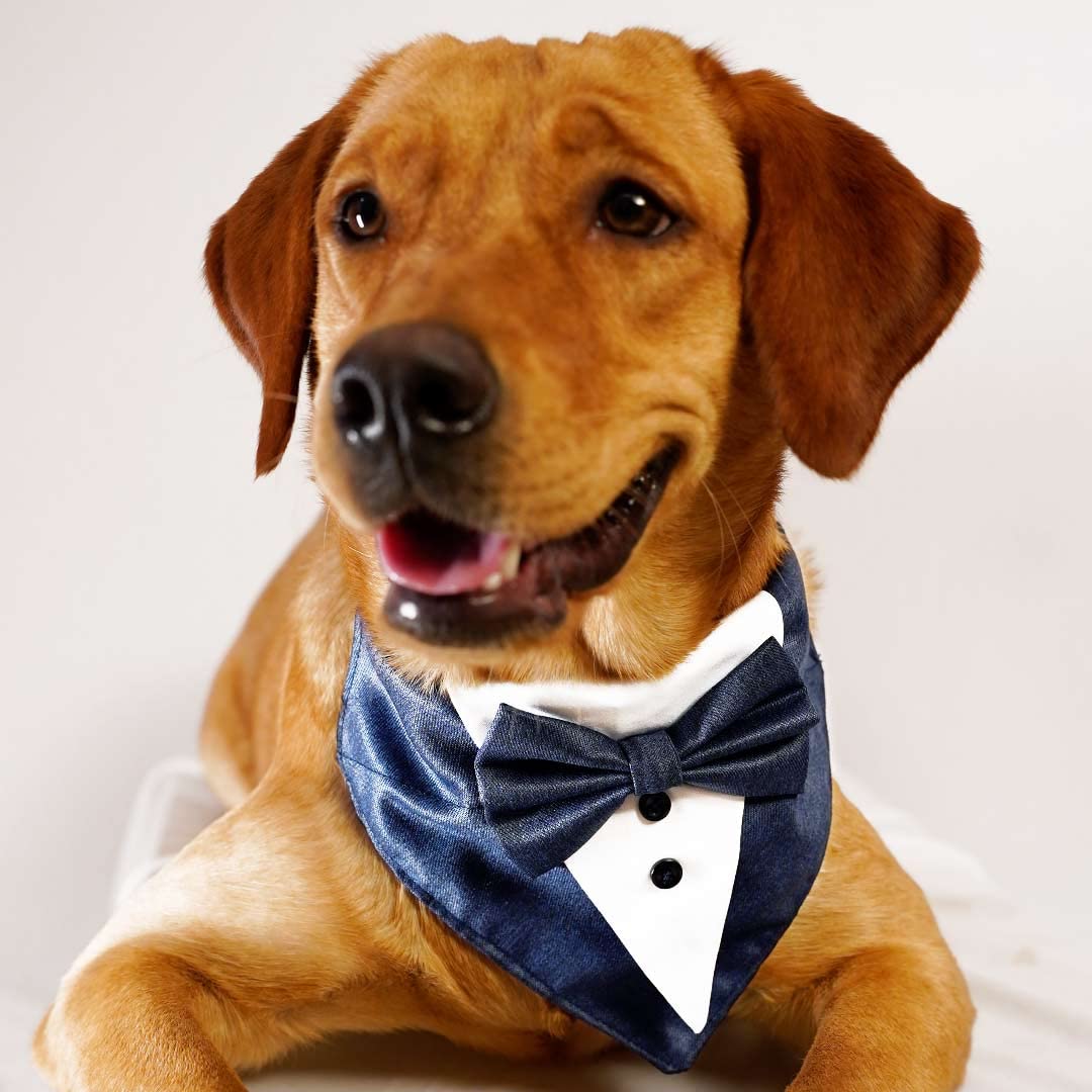 Myartbucket Wedding and Festive Dog Tuxedo Black Bandana with Bow | Pet Tuxedo Bandana Navi Blue (S) (B0BY4NBBZC) Amazon Price History, Amazon Price Tracker