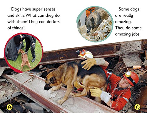 DK Readers L2: Amazing Dogs: Tales of Daring Dogs!...