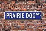 BCTS Panneau en métal pour chien de prairie et amoureux de chiens de prairie et de rongeurs familiaux, garage, clôture, allée, rue, entrée D, panneau de métro 4 x 16 pouces