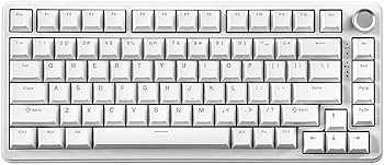 【新品未使用】YUNZII B75 PRO 75%キーボード 41Ae9ezvd2L.jpg