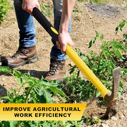 image for Bucherry 1 Pcs 36