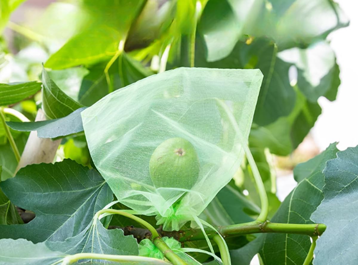 Bolsas para Uvas en Parra, 100 Piezas Bolsas Uvas Protección, Bolsa para Proteger Fruta 30cm x 20cm, Proteger Las Frutas de Las Aves Mariposa Avispa Aves