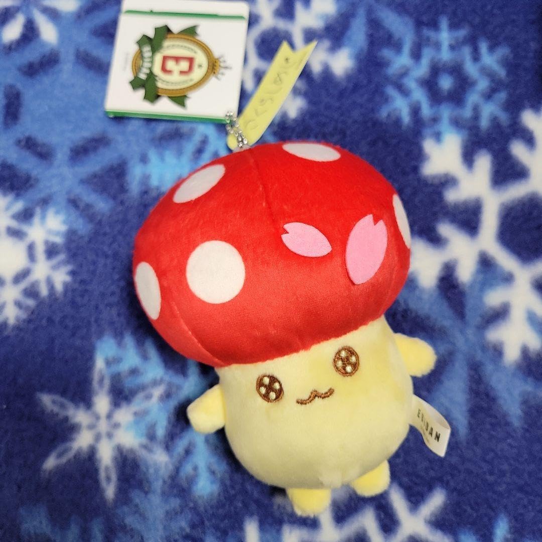 Amazon.co.jp: EBiDAN MILK 超特急 SUPER DRAGON さくらしめじ 原因は