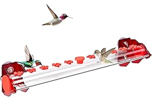 Window Hummingbird Feeders for Outside: Indulge Hummingbirds with Ease