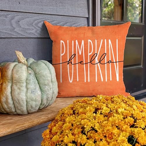 Miniatura 3 de PANDICORN Juego de 2 fundas de almohada de otoño de 12 x 20 pulgadas, diseño de búfalo negro con diseño de calabaza de Hello Pumpkin para
