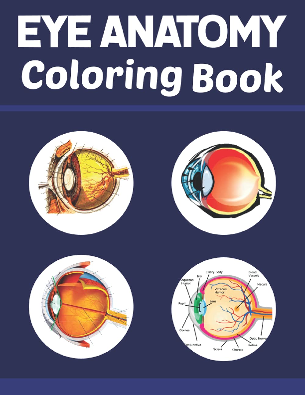 Eye Anatomy Coloring Book: Incredibly Detailed Self-Test Human Eye Anatomy Coloring Book for Anatomy Students. Great Book For Learn & Understand Human ... Gift for Medical Students, Nurses, Doctors.