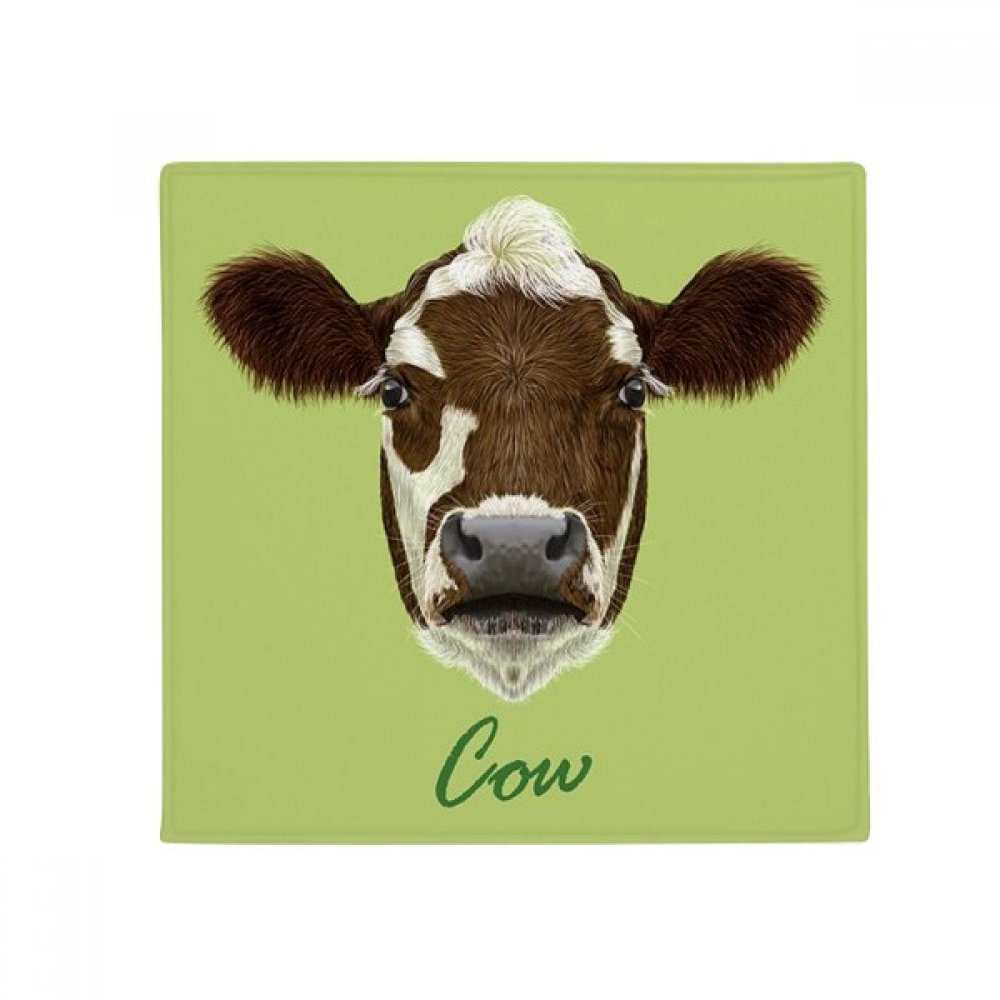 Tapis de sol animal antidérapant 80cm pour entrée maison et cuisine