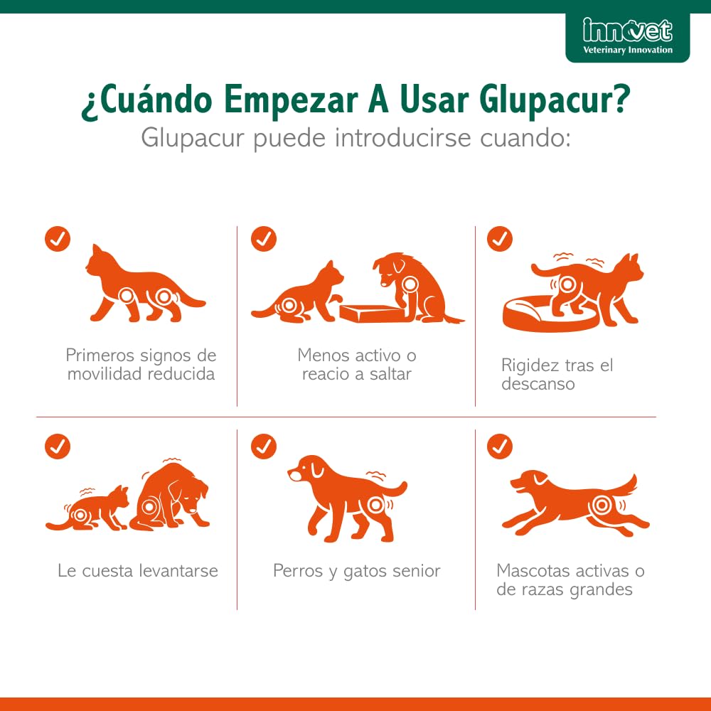 Innovet Glupacur Suplemento para Las Articulaciones de Perros y Gatos 200 Comprimidos – Apoyo Avanzado para la Movilidad con PGA, Curcumina y Vitamina E – Mejora Articulaciones Perro y Gato