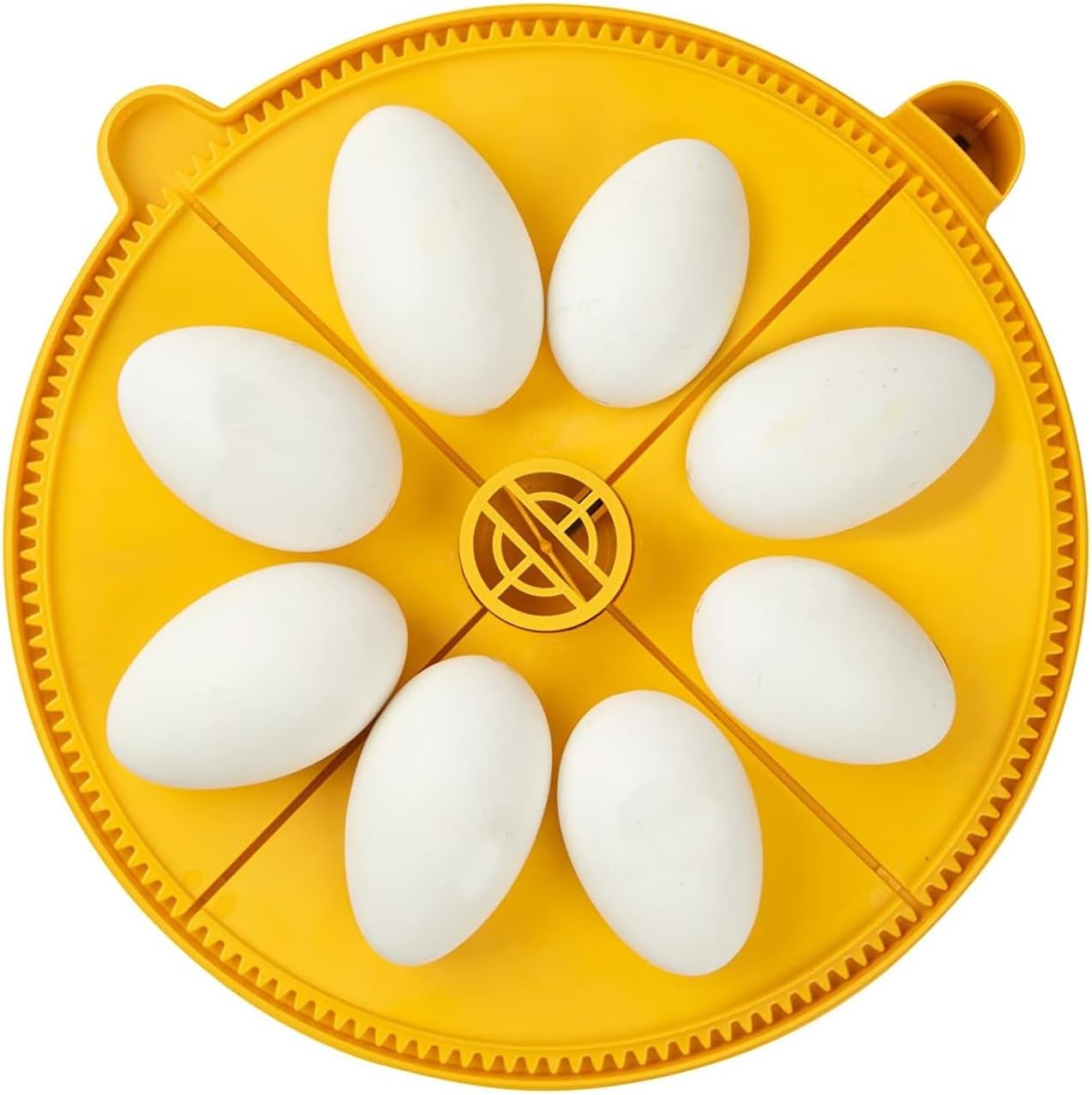 Brinsea Extra Large Egg Quadrant Insert for Maxi Advance Incubator System, Fits 8 Goose-Size Eggs