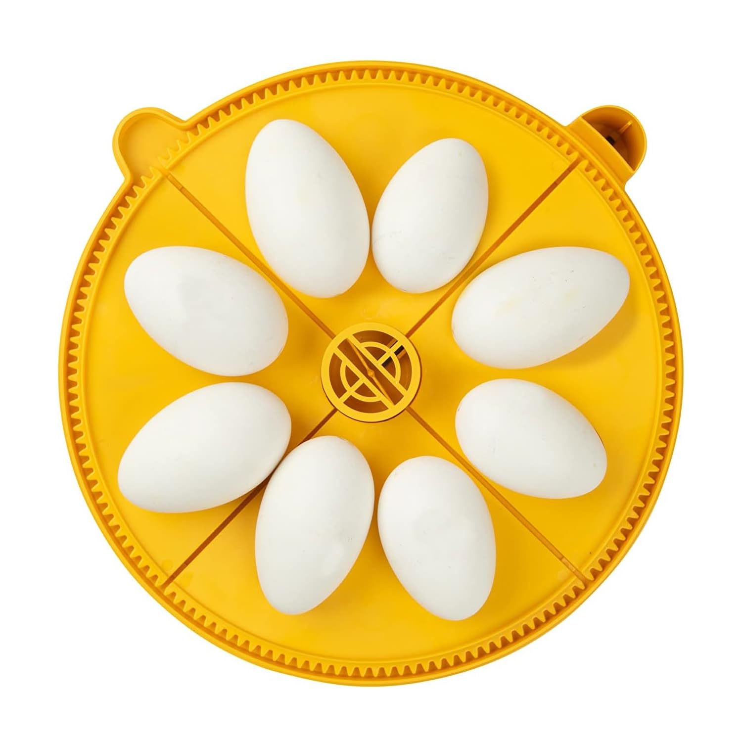 BrinseaExtra Large Egg Quadrant Insert for Maxi Advance Incubator System, Fits 8 Goose-Size Eggs