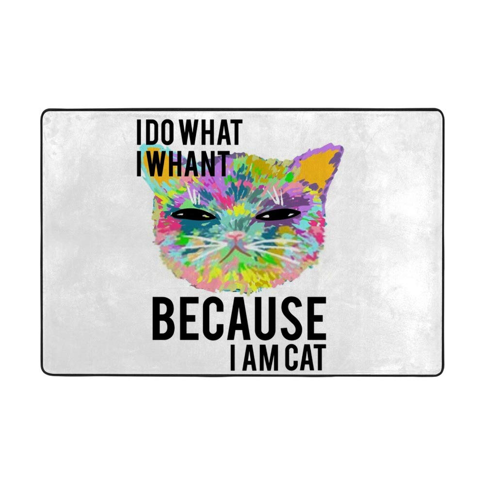 Tapis de salon Ruchen Because I am Cat en velours corail doux 183x122cm pour intérieur chaleureux