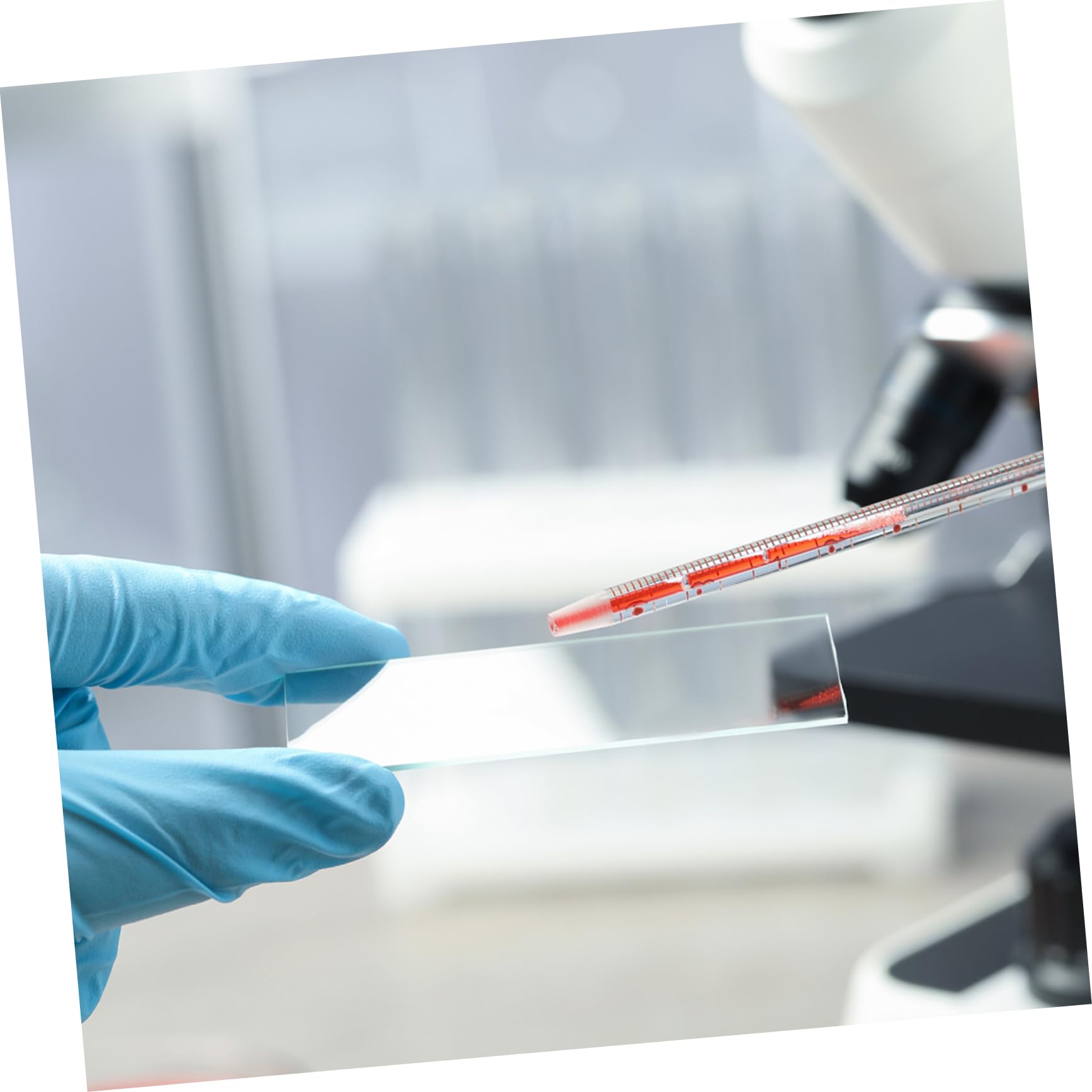 Alipis Optical Microscope Slides Pcs Blank Microscope Slides for Biology Class Props