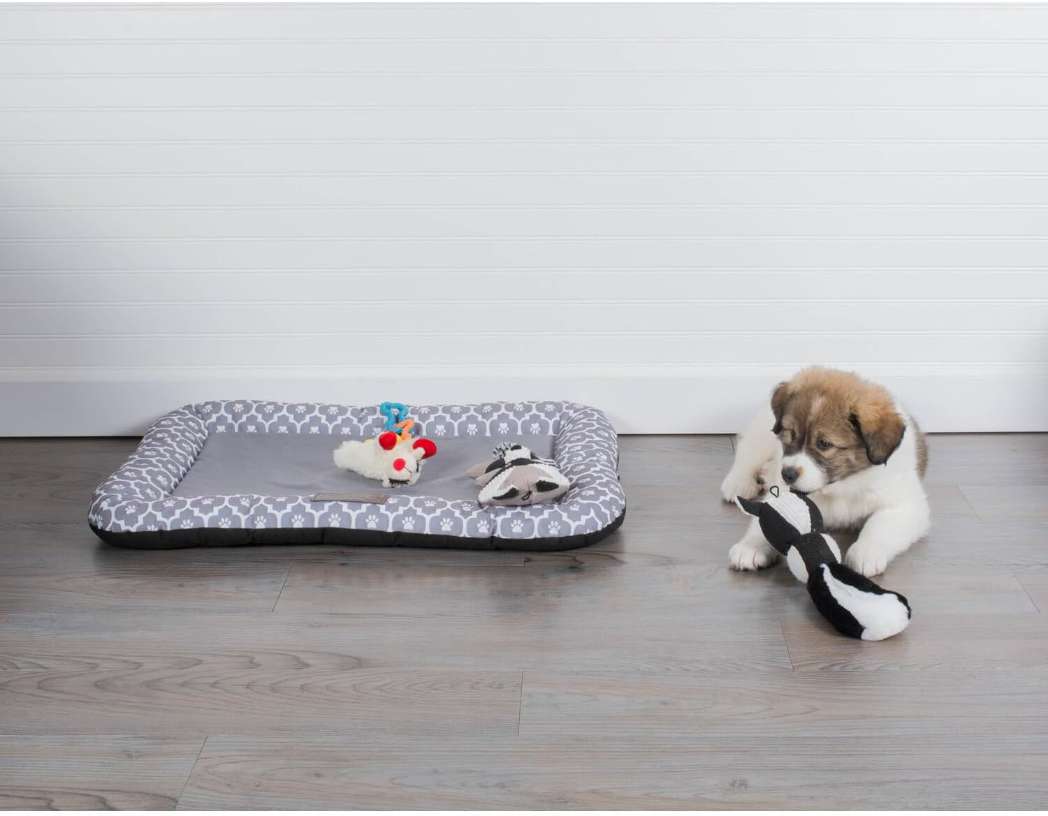 Bone Dry Paw Print Cushioned Border, Quilted Padded Pet Bed, Rectangle Medium, 20x28, Lattice Gray
