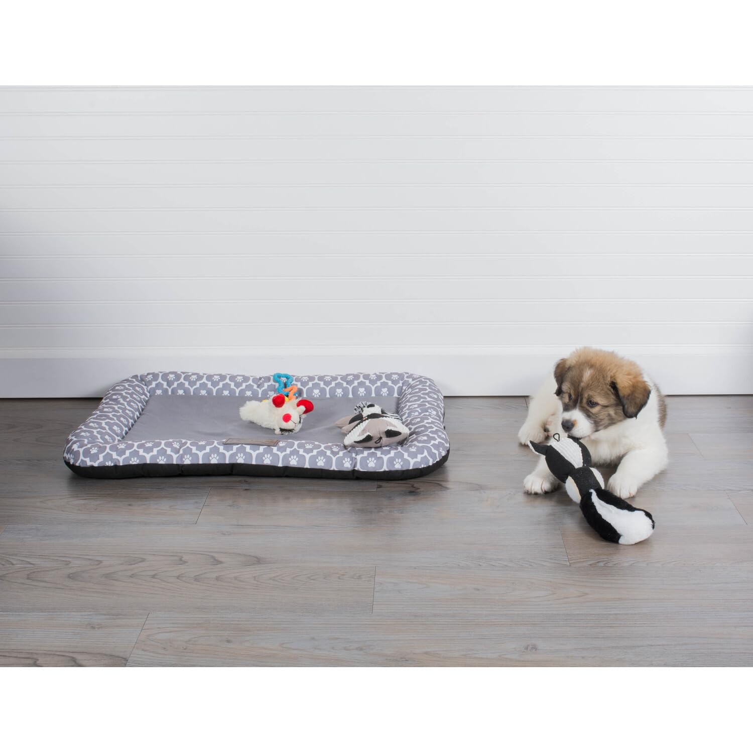 Amazon | DIIボーンDry Kennel &クレートパッド入りペット用