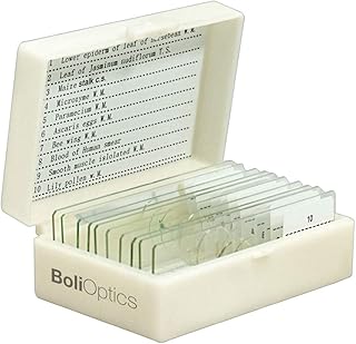 BoliOptics 10 Prepared Microscope Slides General Biology Specimen Set Plant Animal Human Anatomy Cells for Students Hobbyists Beginners Kids Homeschool, SL39901003
