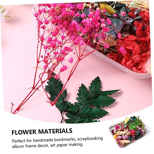 Materiales de Flores Secas Naturales Unomor para Manualidades miniatura 2