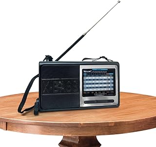 Radio FM/AM/SW - 9 Bands High-Sensitivity Portable with Speaker, Rechargeable Battery, ROD Antenna, and Power/Radio Indicator, RX-3050 (Silver)