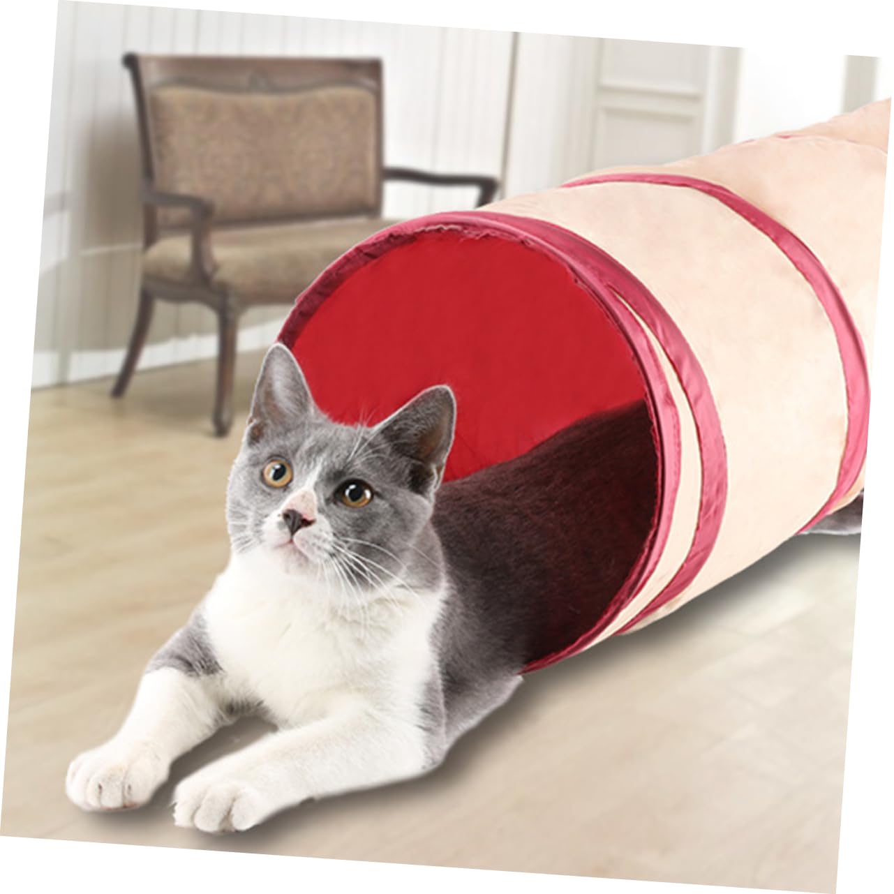 Didiseaon per Gatti Tunnel per Animali Domestici Pieghevole per Riporre Gli Oggetti Ideale per Gatti Conigli Furetti E Cuccioli.