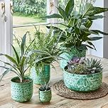 Ivyline Textured Glaze Plant Pot 18cm Dia | Contemporary Glazed Plant Pot with Textured Crackle Design| Indoor Planter Plant Pot Flower Pot for Cacti Succulents and Small House Plants (Emerald)