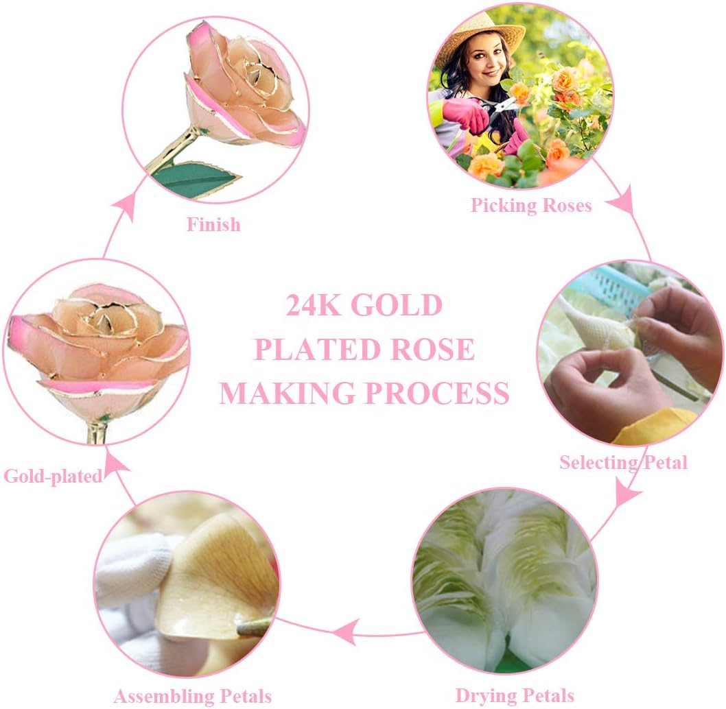 ZJchao 24K Valentines Rose Gifts for Women, Eternal Love Preserved Plated Rose Flower, Best Present for Wife/Lover/Girlfriend Anniversary, Wedding, Birthday (Peach) - Image 7