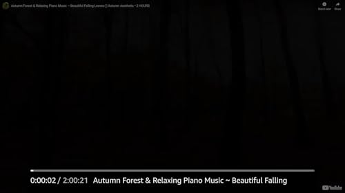 Instrumental Music for Studying