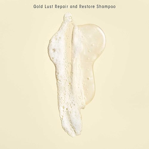 Vista 23 de Oribe Gold Lust Repair & Restore Shampoo