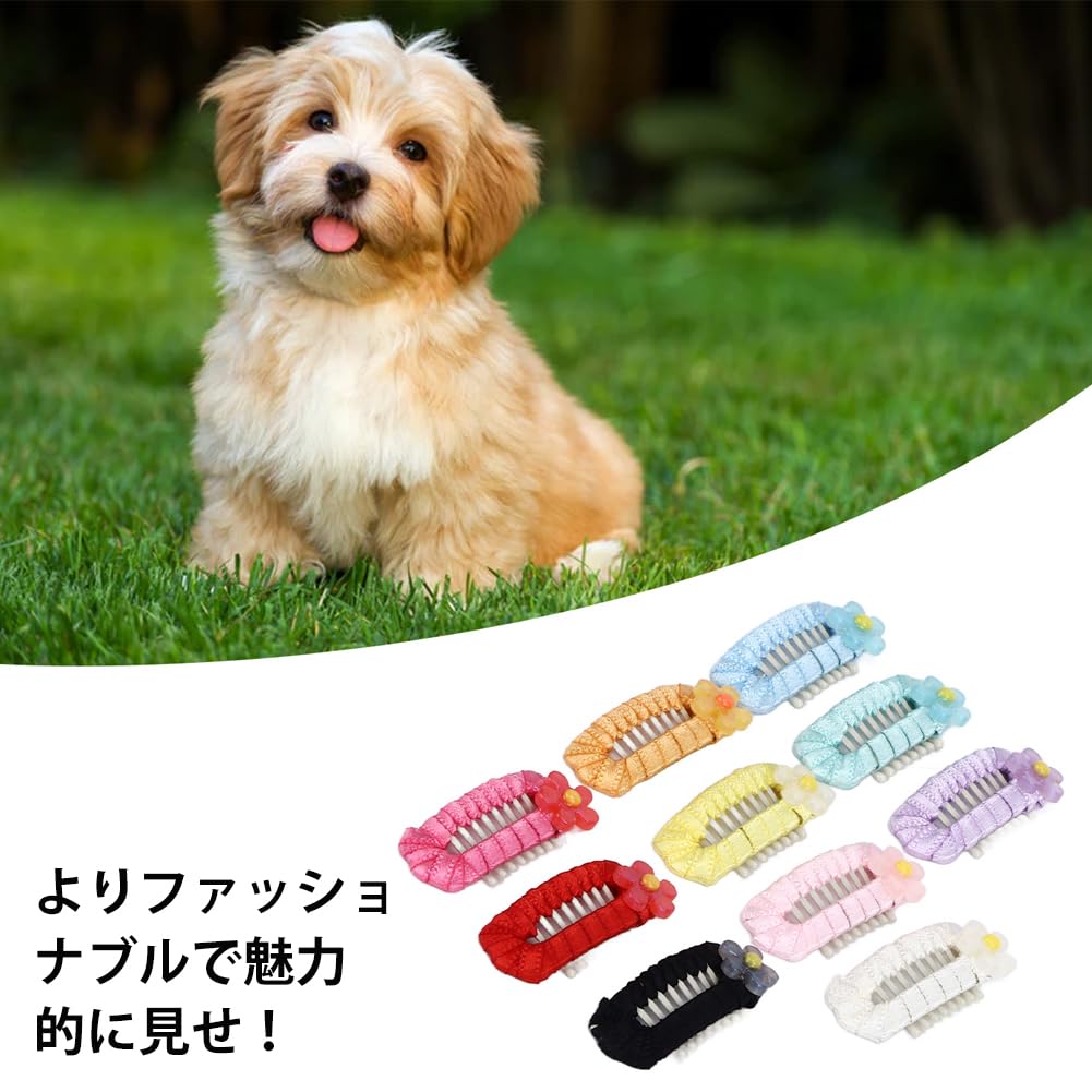 Amazon.co.jp: 小型犬用ヘアピン 小型ペットヘアクリップ 猫犬用