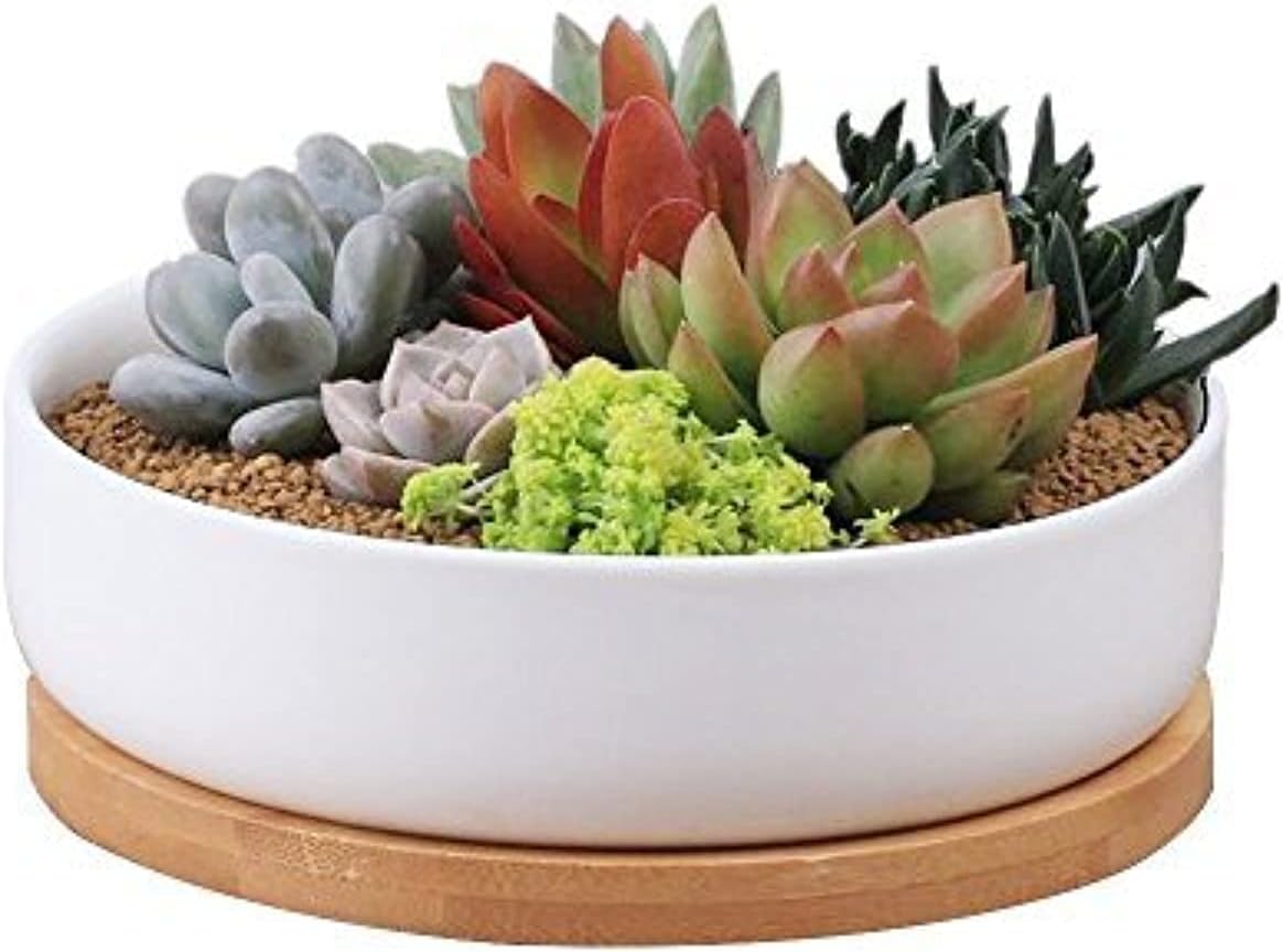 Y&M(TM) Succulent Planter Ceramic with Bamboo Tray, 6 inch Modern White Ceramic Round Design for Succulent Planter Cactus Pots Decorative Flower Holder Bowl Basin,Tub