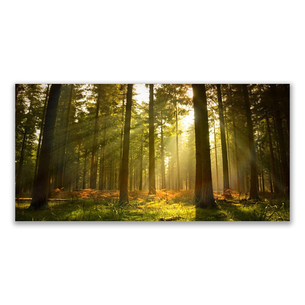 Déco Design Forêt Naturelle : Tableau en Verre Trempé 140x70cm Idéal pour Chambre Parentale