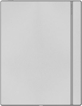 BOOX Go 10.3 Gray