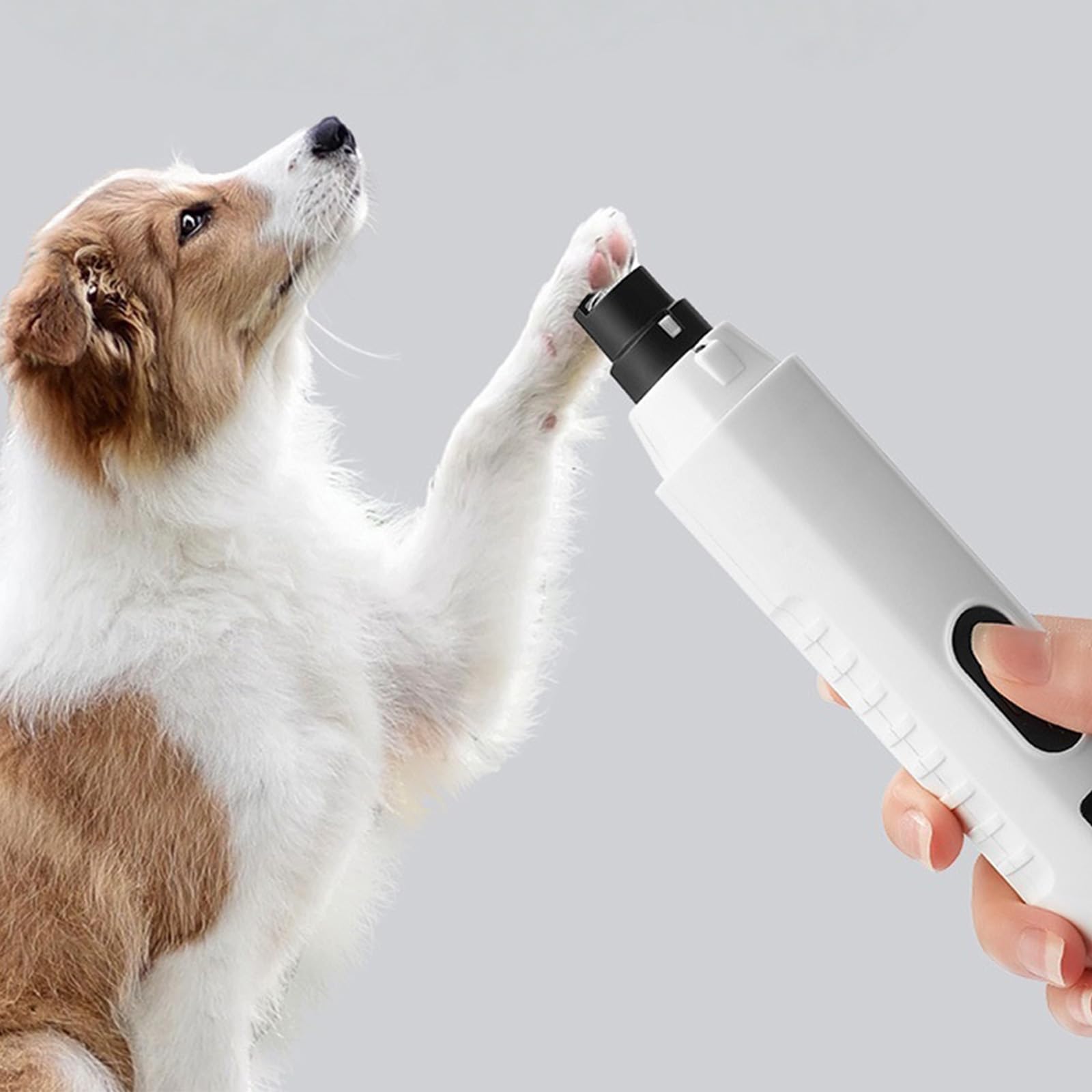 Smerigliatrice per unghie con doppia luce e display LCD per la cura precisa delle unghie rifilatura a casa lima per unghie a basso rumore per animali domestici