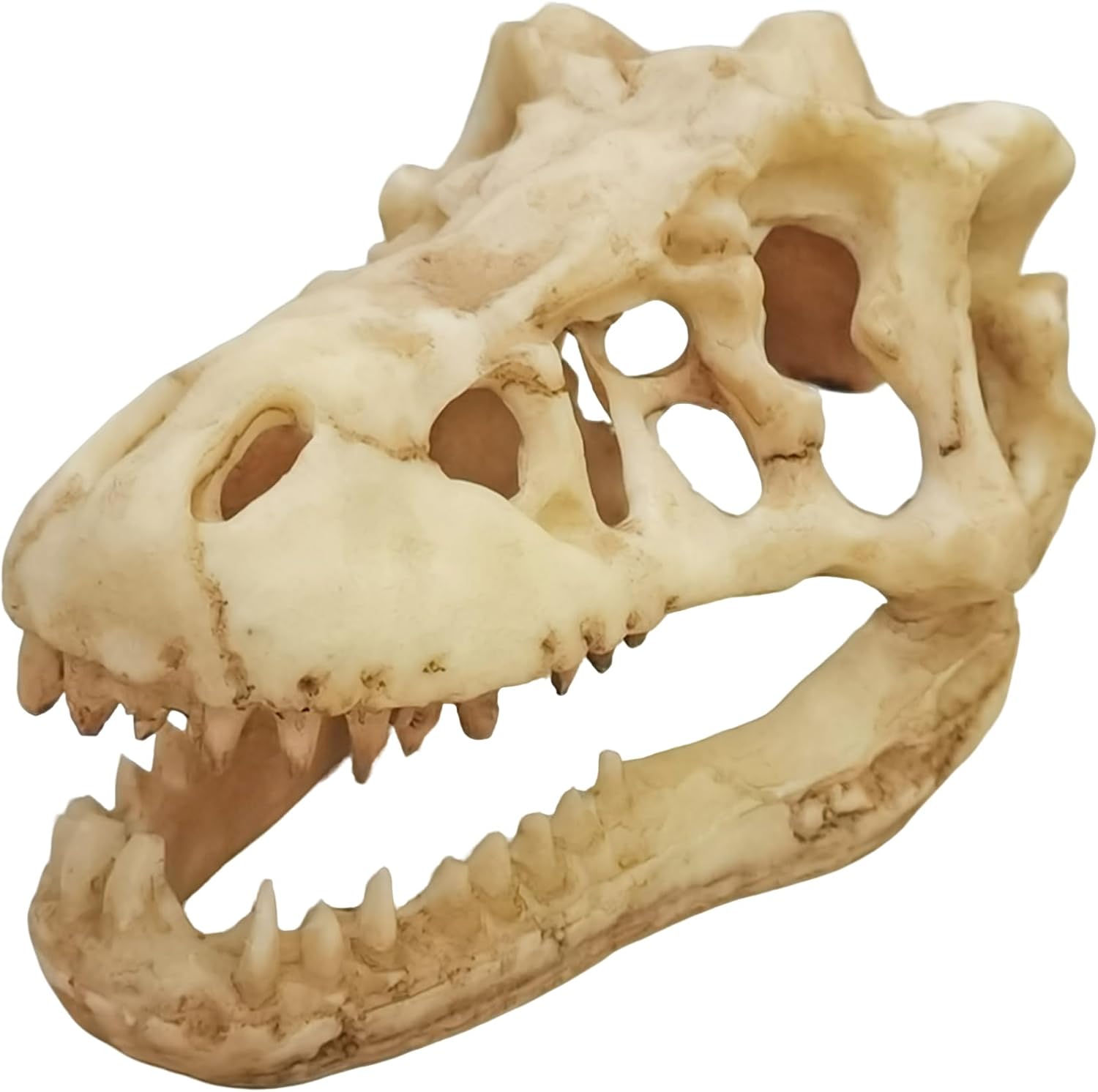 6.75 X 4 X 3.75 Inch Resin Water Feature Dinosaur Skull Ornaments Decorations for Fish Tank, Home and Office 22039-1D