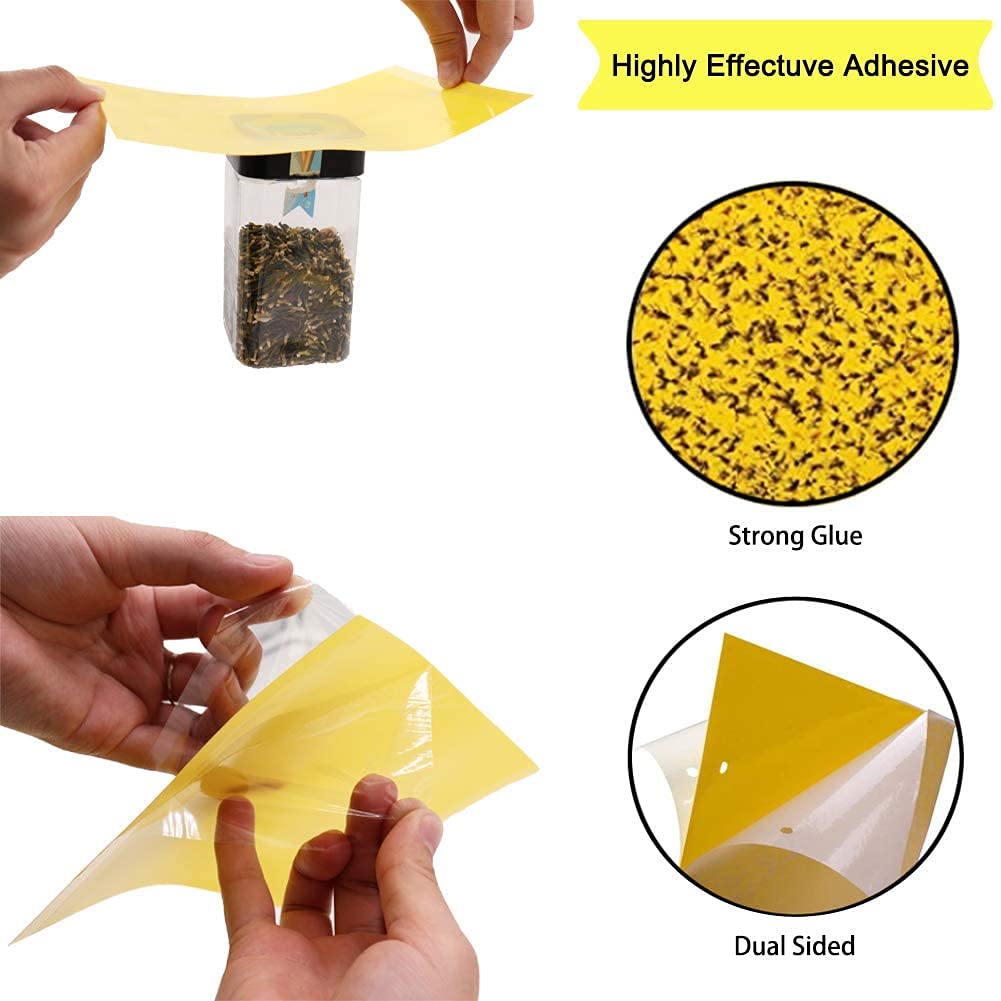 Y.A. LOTUS 100 lavagne adesive per trappole per insetti, di colore giallo, di alta qualità, ideali per combattere le zanzare, la colla brucia, le mosche e le mosche bianche