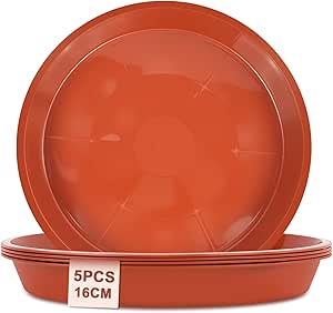 5 Sottovasi Rotondi In Plastica Nera Da 21 Cm – Per Piante Da Interno/esterno – Vasi Fino A 18 Cm - 3
