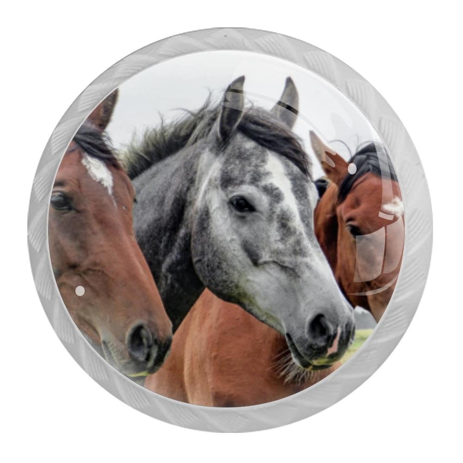 Tqmspg Multi06 4 Pieces Drawer Pulls Horses Animals Door Knobs Dresser Handles For Kitchen Wardrobe Cupboard Hardware Furniture