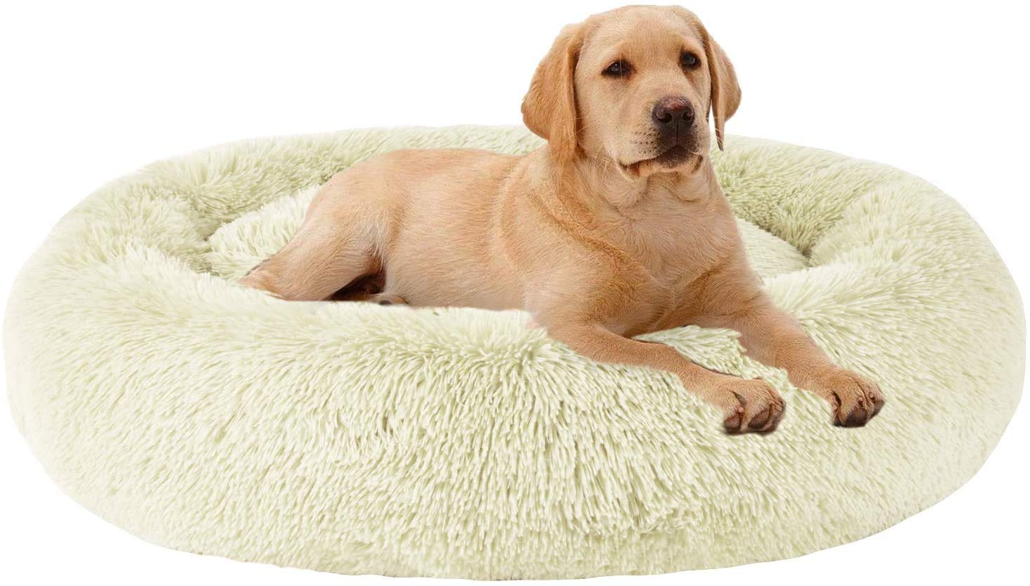 Soothing Cushion Absolut Soothing Pet Bed Reviews Soothing Dog