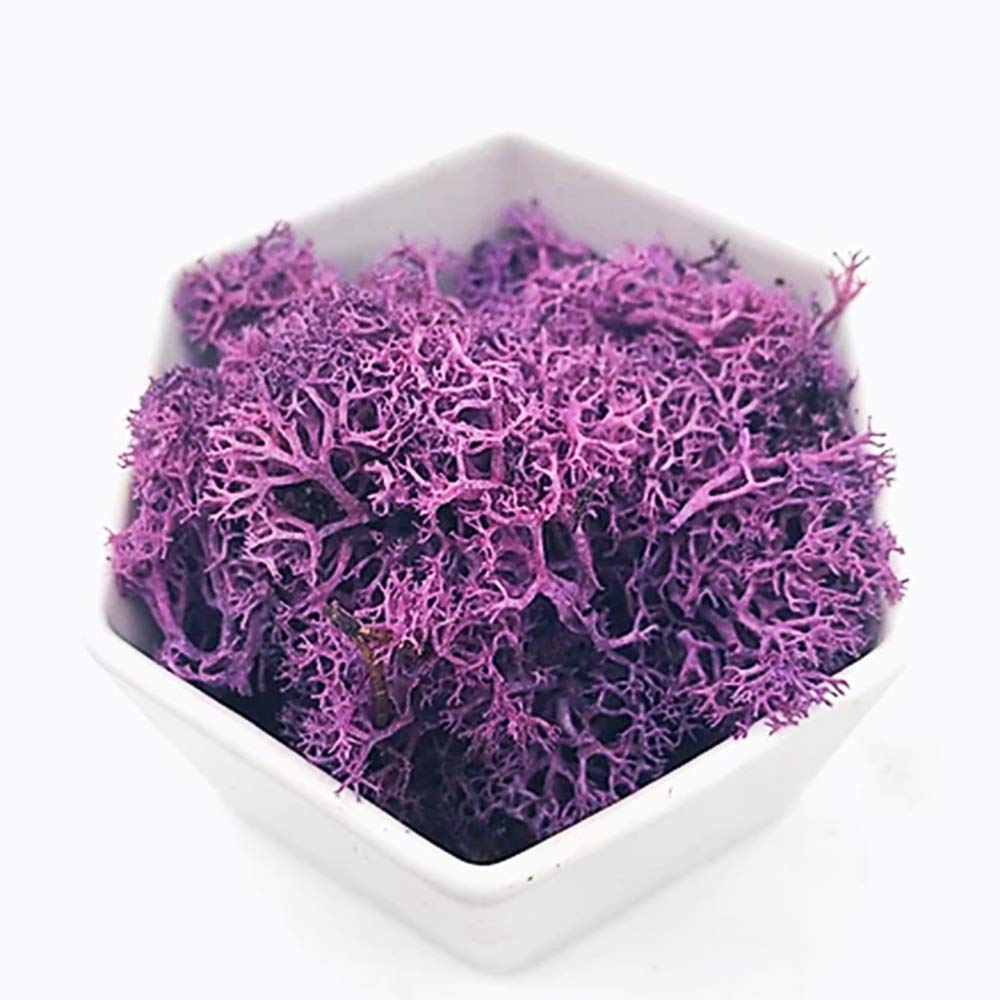 KAVENO Moss Preserved, Green Moss，Artificial Moss for Fairy Gardens, Terrariums, Any Craft or Floral Project or Wedding Other Arts (Purple)