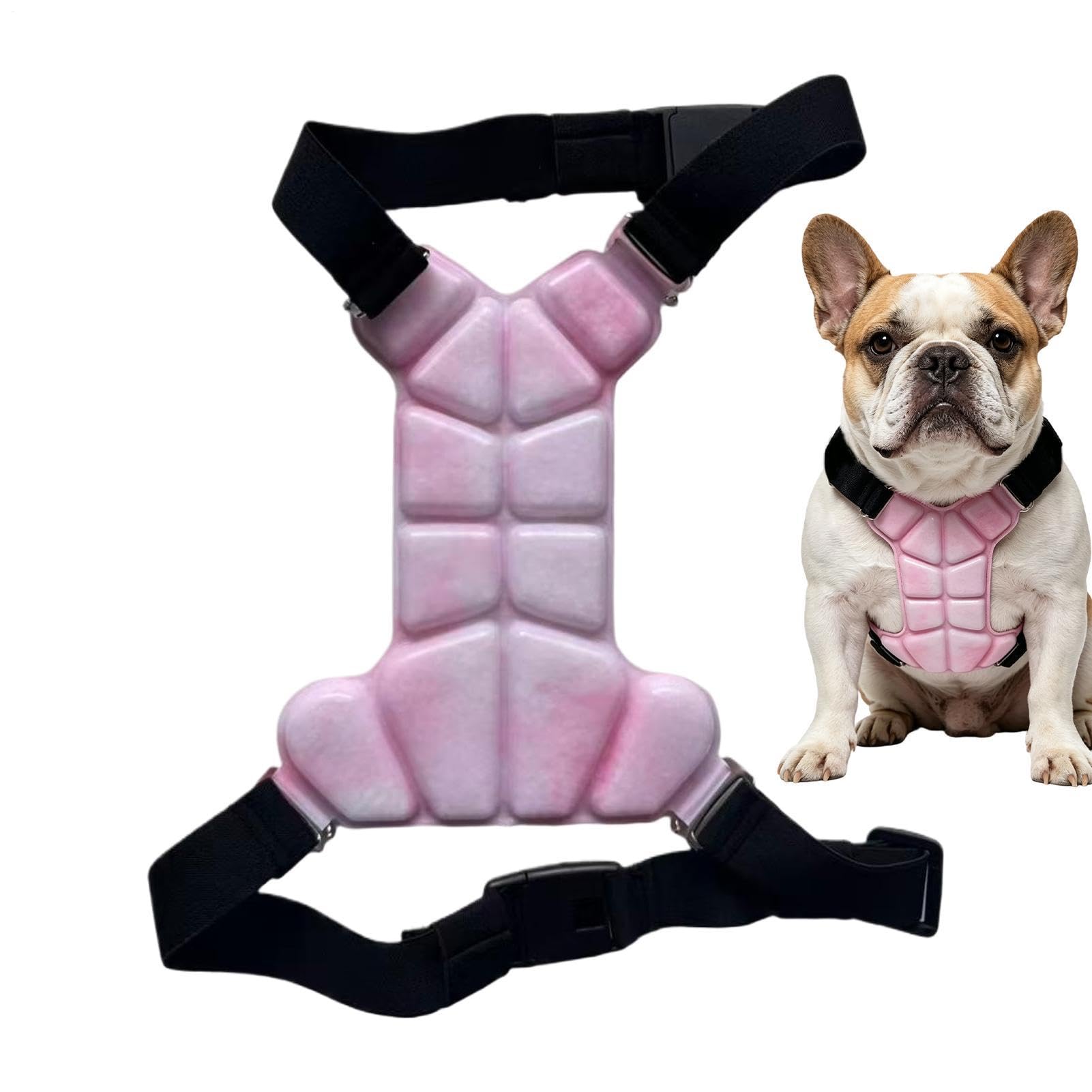 Gilet rafraîchissant canin à gel double face pour petit chien
