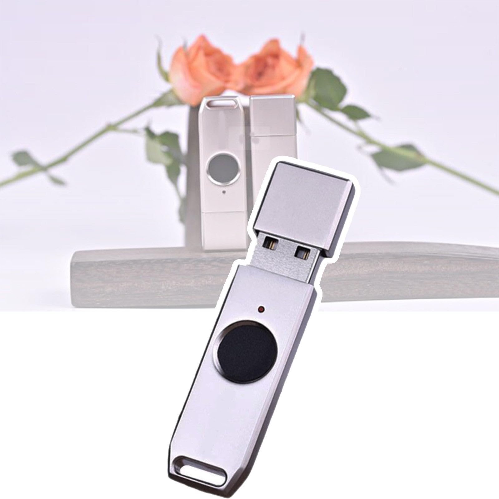 Chiavetta USB con sblocco Impronte digitali, Dispositivo di archiviazione Portatile antifurto in Metallo, Memoria con 10 ID Impronte digitali, Trasmissione Rapida 256GB