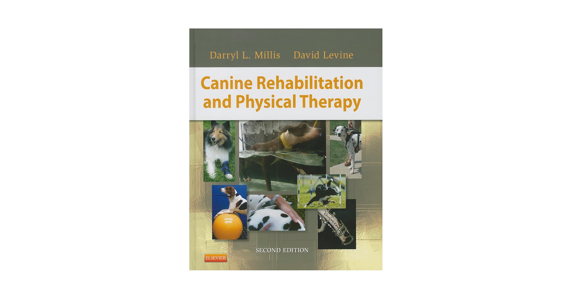洋書 Canine Rehabilitation & Physical Therapy Canine Rehabilitation and Physical Therapy: 9780721695556