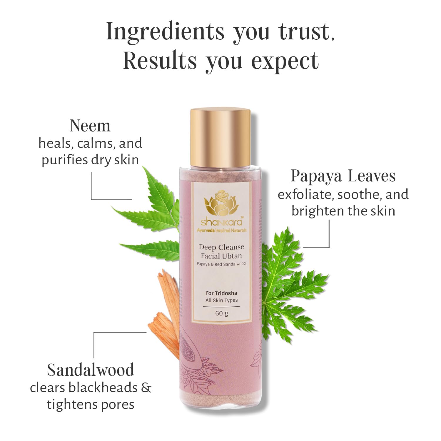 Shankara Deep Cleanse Facial Ubtan with Papaya & Red Sandalwood For Hydrating & Soothing Cleanser - (60g) 1