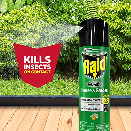 Raid House & Garden Insect Killer Spray, For Listed Ant, Roach, Spider, For Indoor & Outdoor Use, Orange Scent (11 Ounce (Pack Of 1) #TOP4