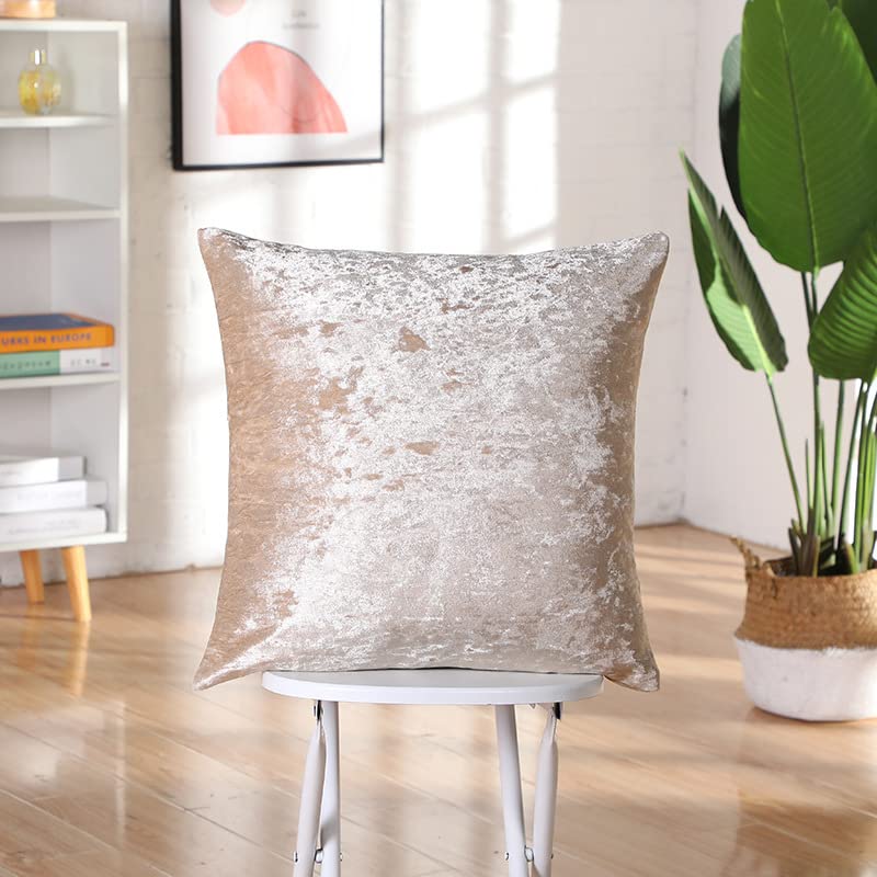 RKAAS HOME Super Soft Decorative Luxurious Crushed Ice Velvet Square Cushion Cover for Living Room Sofa Couch Bed 55cm x 55cm 22x22 Inches (Pack of 4 - Image 3