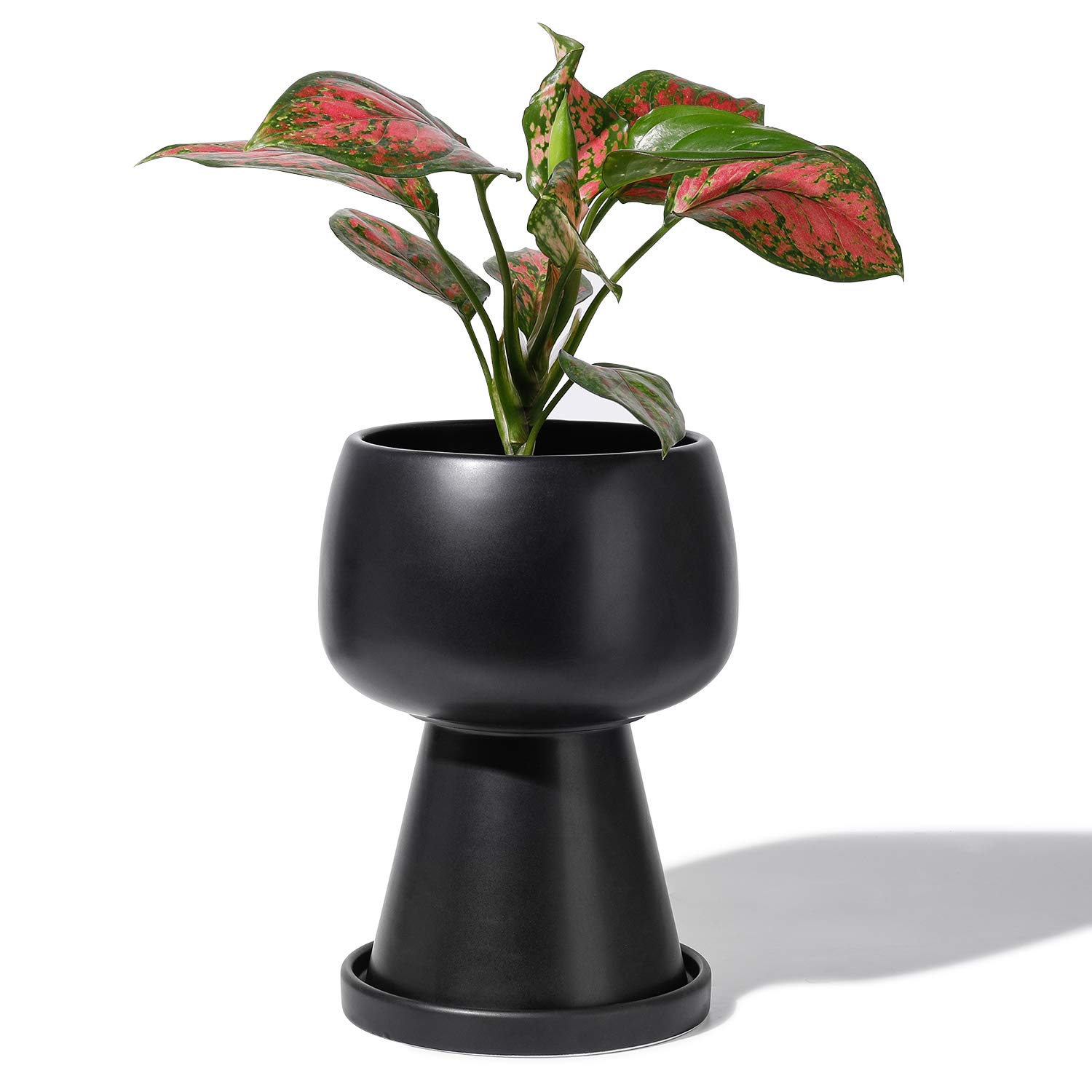 Artificial Plants Calgary Decor For You
