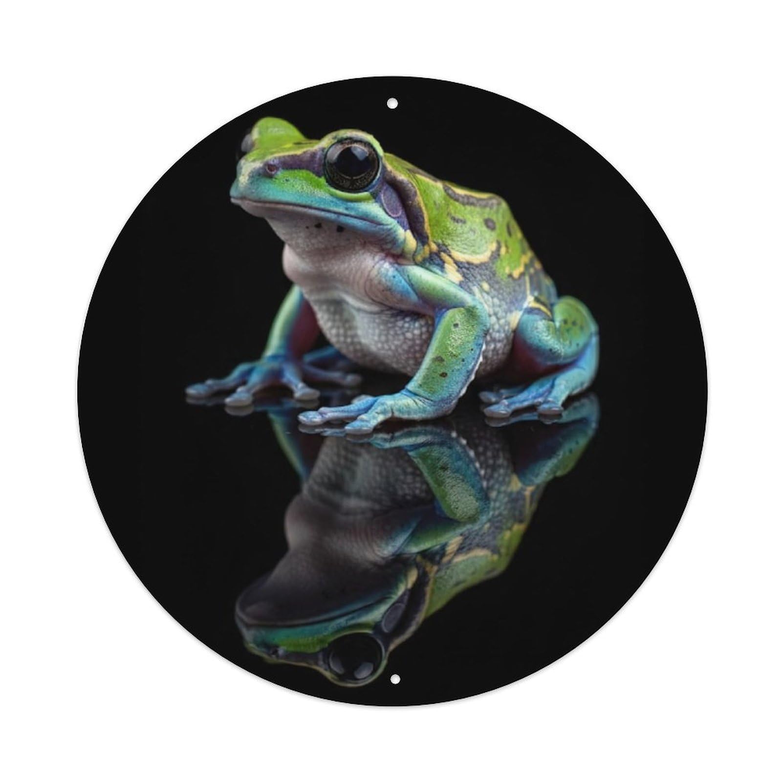 Animal Tree Frog Vibrant Colors Macro Photography Black Background Vintage Metal Tin Sign Plaque Wall Decor for Cafe, Club Bar, Office, Garden Metal Poster 8x8Inch