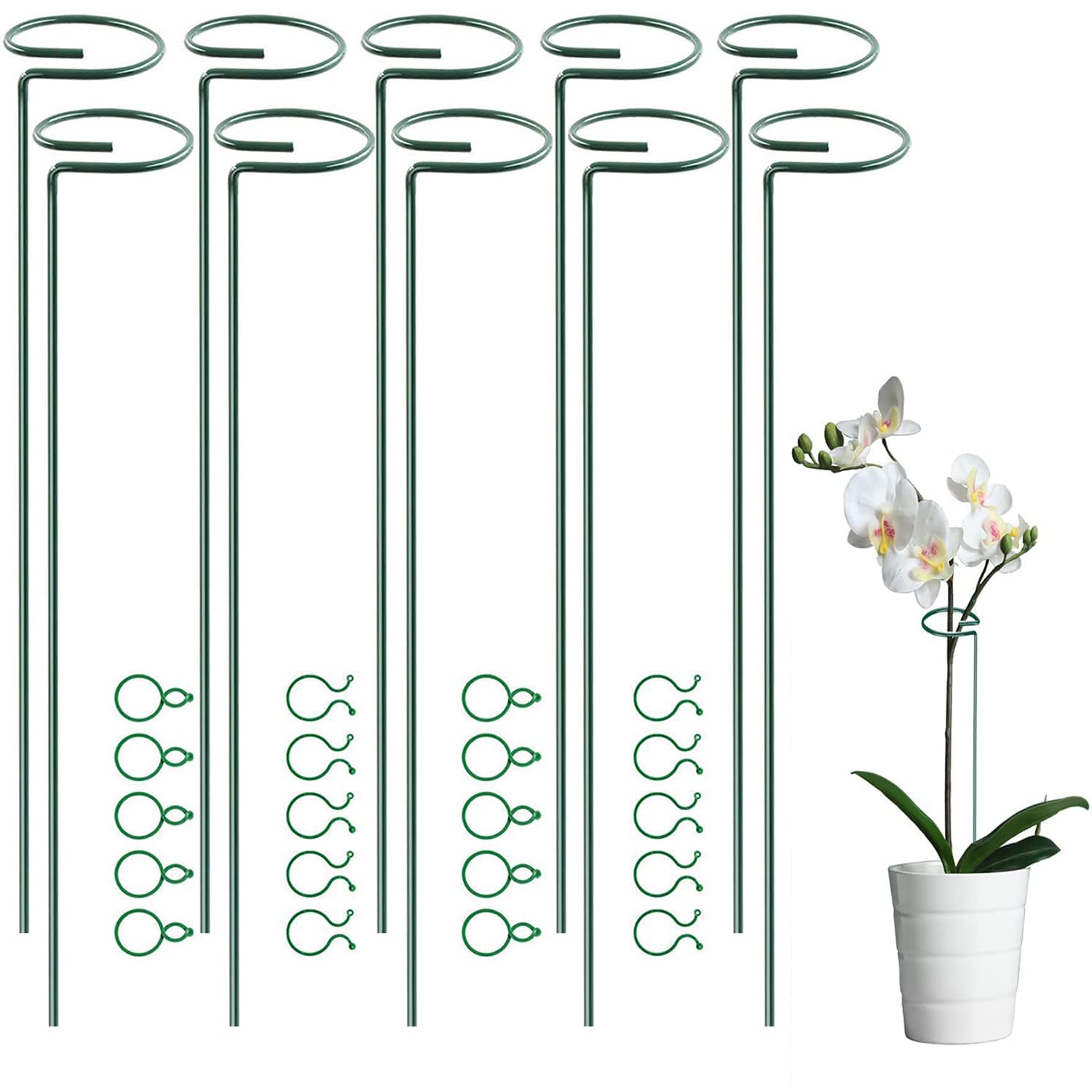 10 Pack 60 cm 23.5 inch Plant Support Stakes, Garden Single Stem Support Stake Amaryllis Plant Cage Support Rings for Tomatoes Orchid Lily Peony Rose Flower Stem (60 CM-10 Pack)